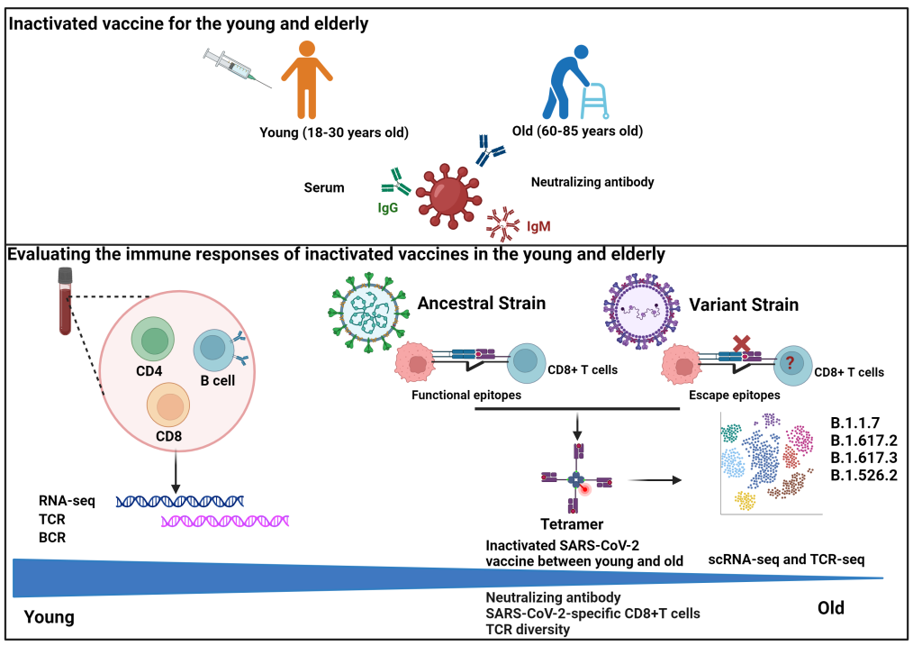 BB电子游戏官网