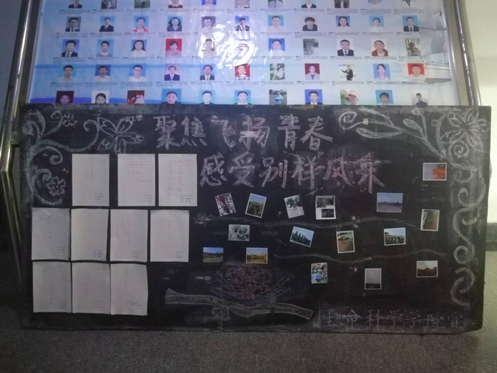 BB电子游戏官网