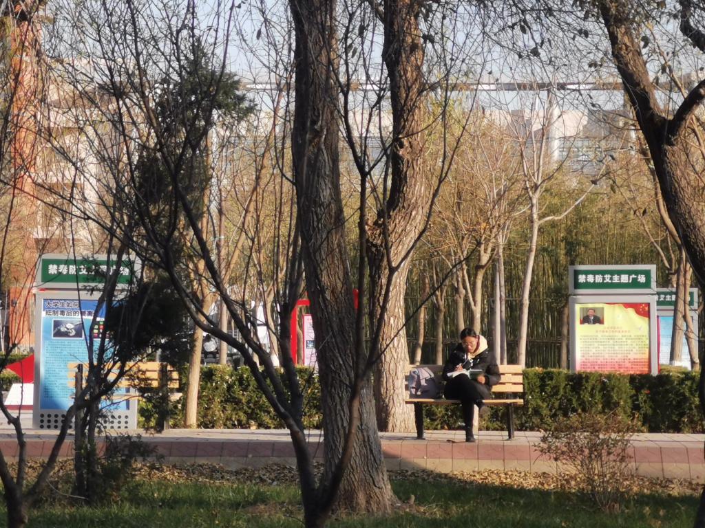 BB电子游戏官网