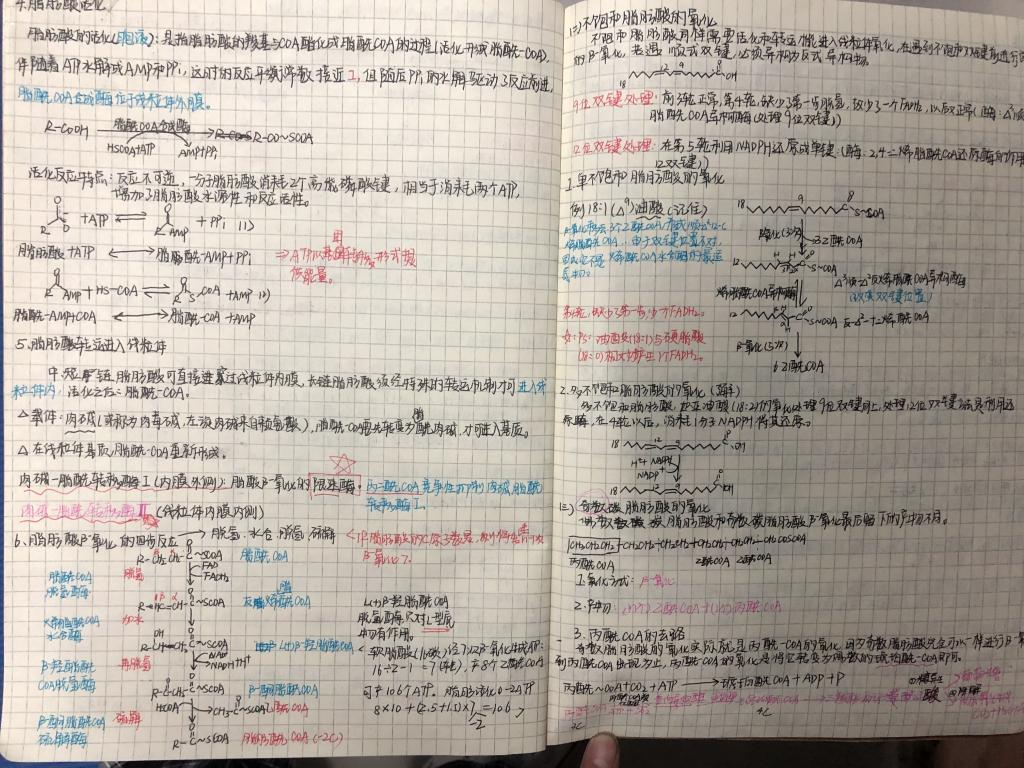 BB电子游戏官网