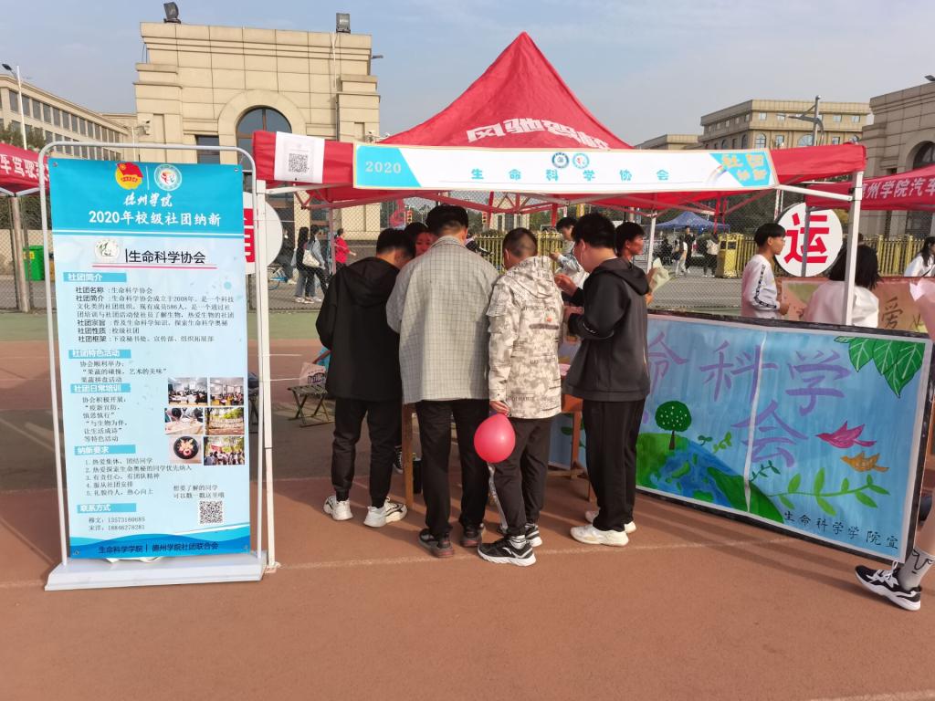 BB电子游戏官网