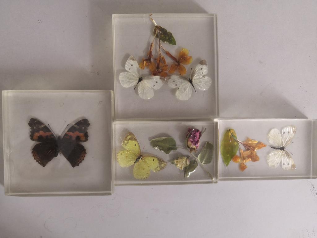 BB电子游戏官网