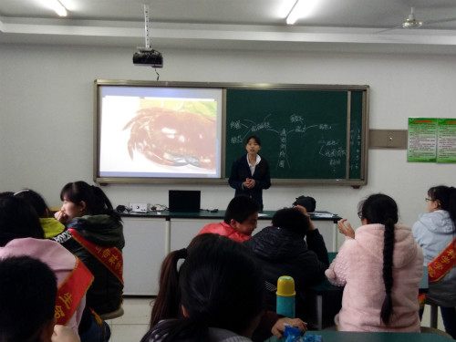 BB电子游戏官网