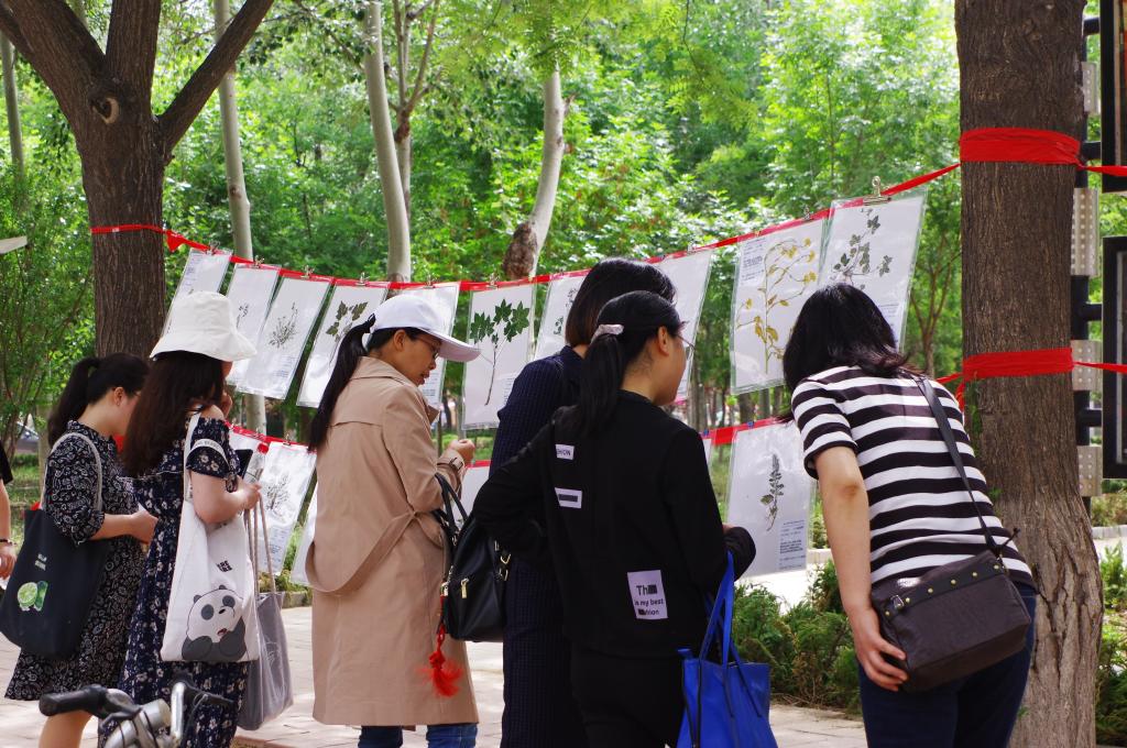 BB电子游戏官网