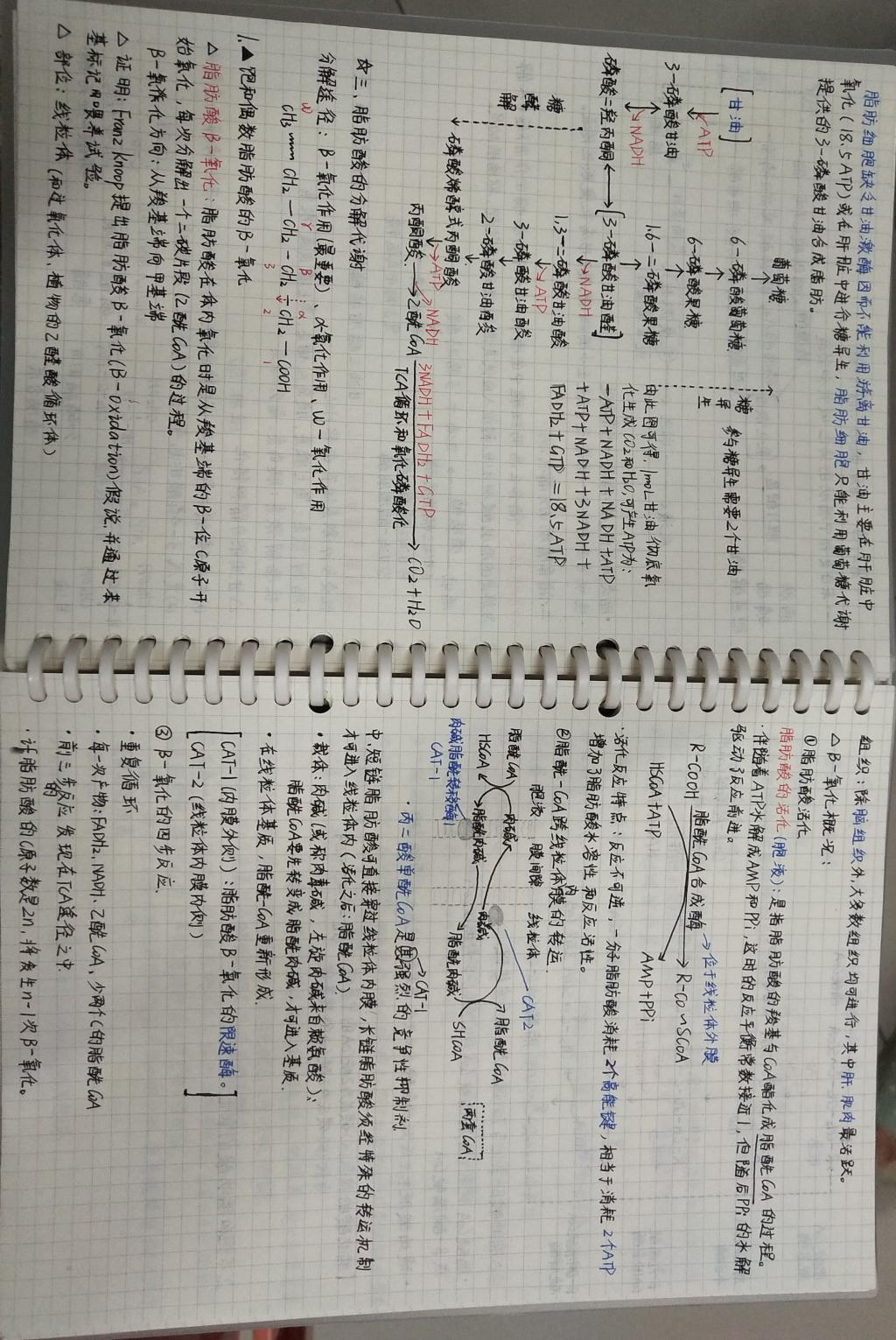 BB电子游戏官网