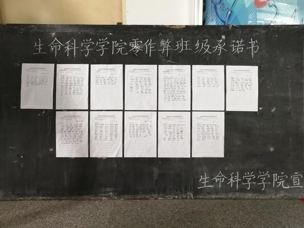 BB电子游戏官网