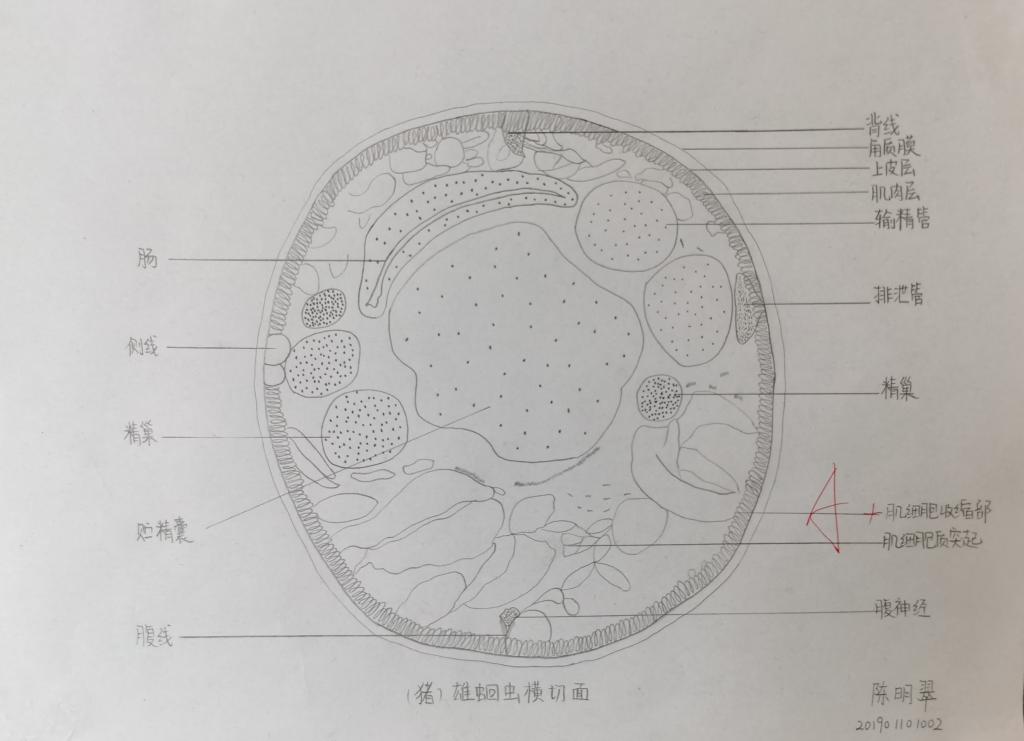 BB电子游戏官网