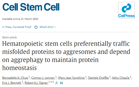 BB电子游戏官网