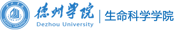 BB电子游戏官网